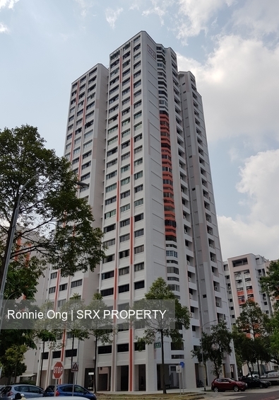 Jurong East Street 13 thumbnail photo